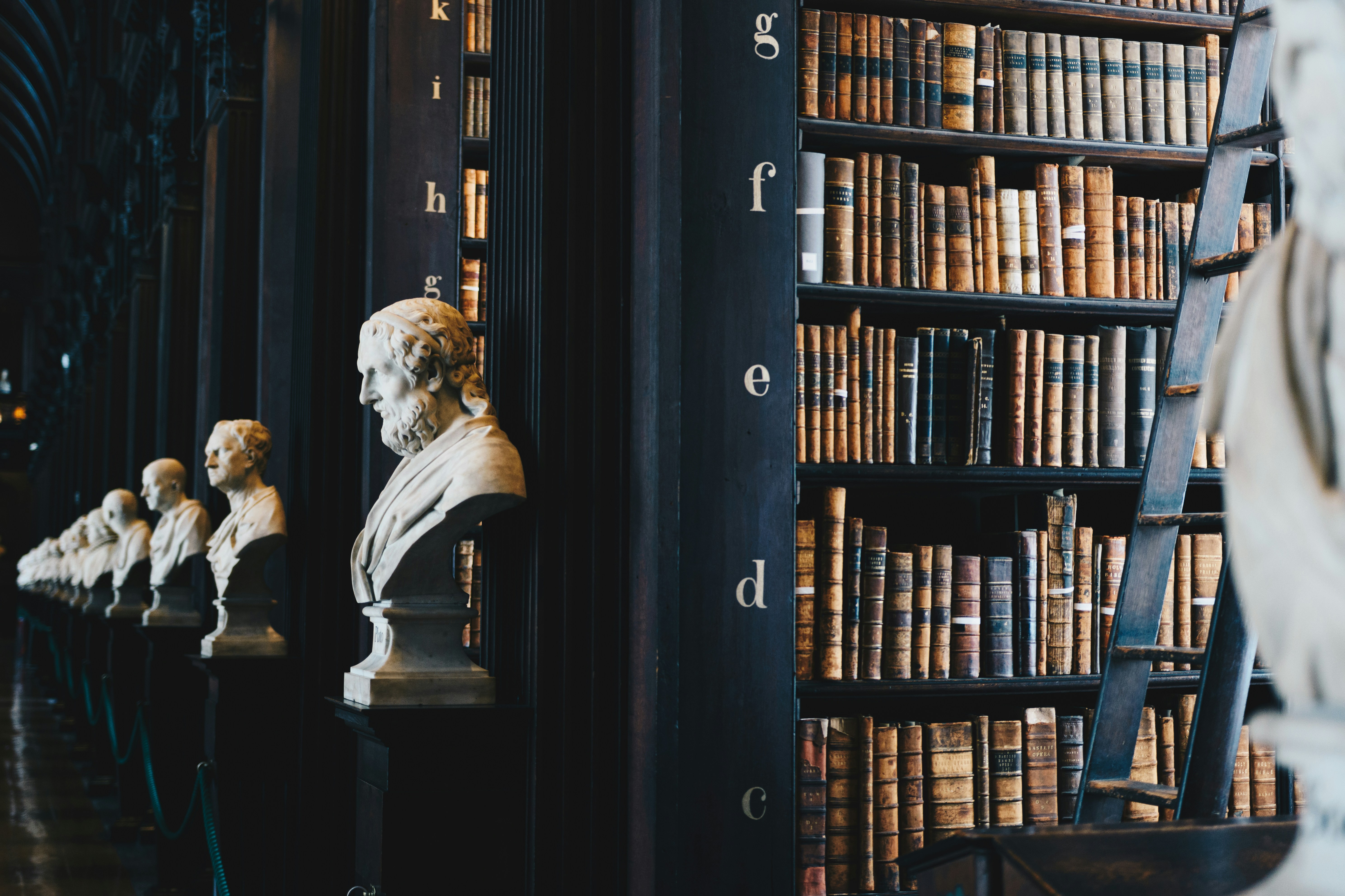 Law library shelves representing legal research and preparation